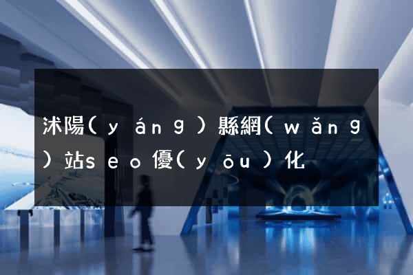 沭陽(yáng)縣網(wǎng)站seo優(yōu)化