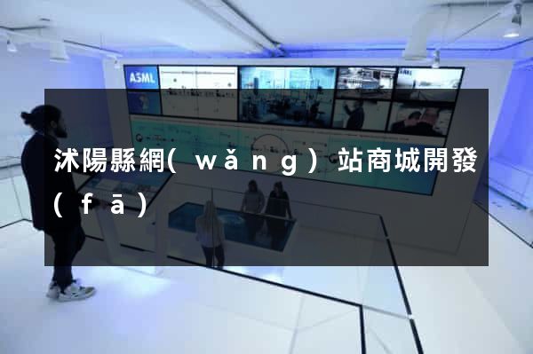 沭陽縣網(wǎng)站商城開發(fā)