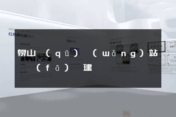 泉山區(qū)網(wǎng)站開發(fā)與建設