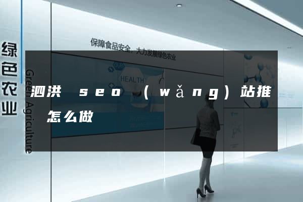 泗洪縣seo網(wǎng)站推廣怎么做