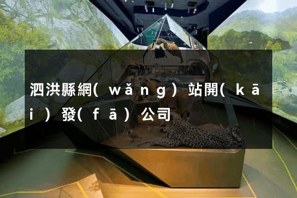 泗洪縣網(wǎng)站開(kāi)發(fā)公司