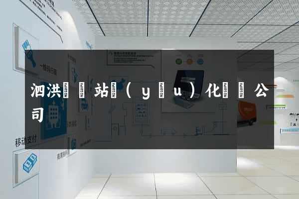 泗洪縣網站優(yōu)化設計公司