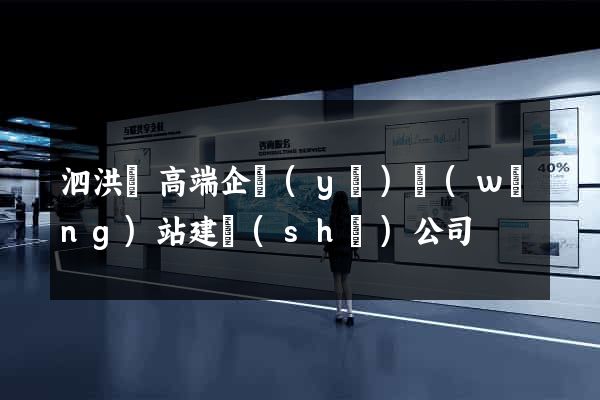 泗洪縣高端企業(yè)網(wǎng)站建設(shè)公司