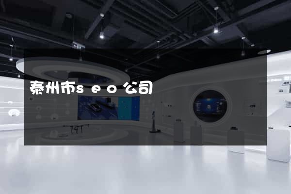 泰州市seo公司