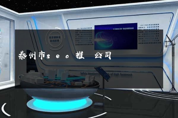 泰州市seo推廣公司