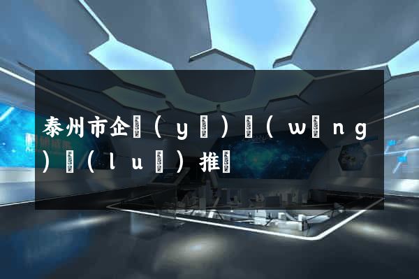 泰州市企業(yè)網(wǎng)絡(luò)推廣