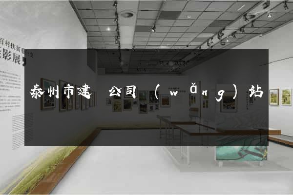 泰州市建設公司網(wǎng)站