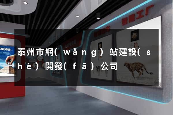 泰州市網(wǎng)站建設(shè)開發(fā)公司