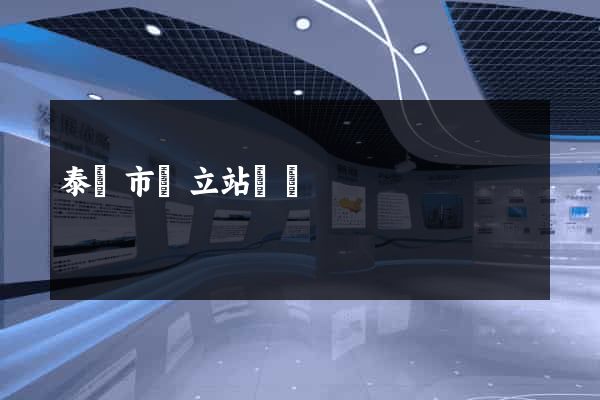 泰興市獨立站運營