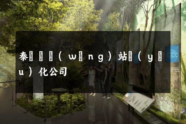 泰順縣網(wǎng)站優(yōu)化公司