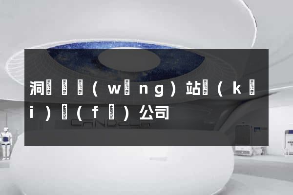 洞頭縣網(wǎng)站開(kāi)發(fā)公司