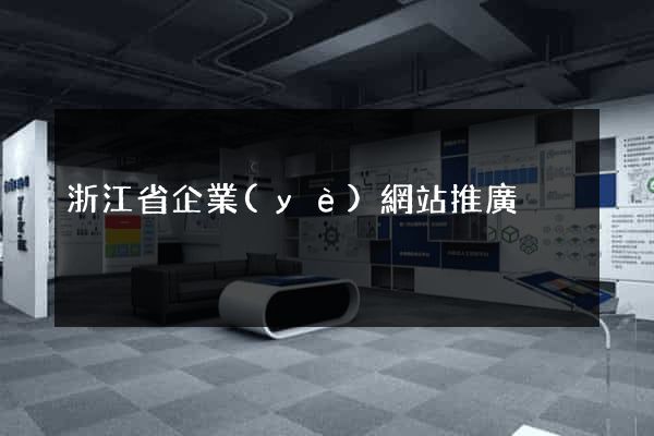 浙江省企業(yè)網站推廣