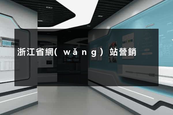 浙江省網(wǎng)站營銷