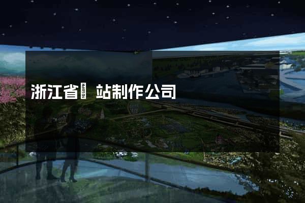 浙江省網站制作公司