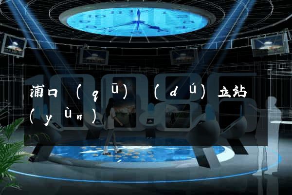 浦口區(qū)獨(dú)立站運(yùn)營