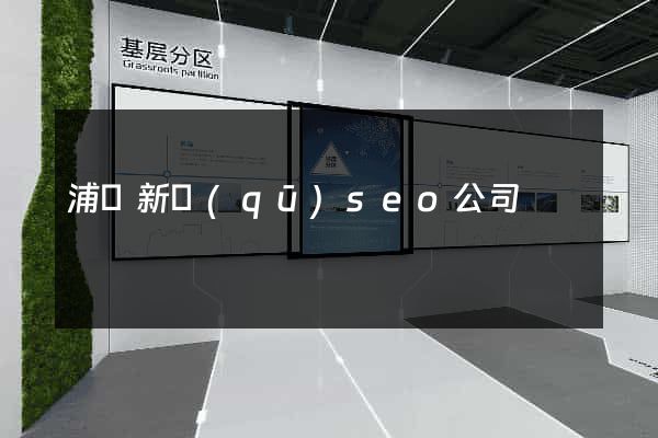 浦東新區(qū)seo公司