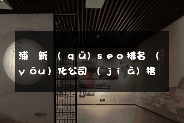 浦東新區(qū)seo排名優(yōu)化公司價(jià)格