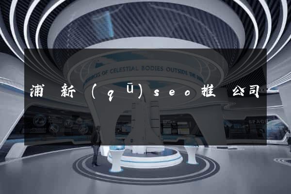 浦東新區(qū)seo推廣公司