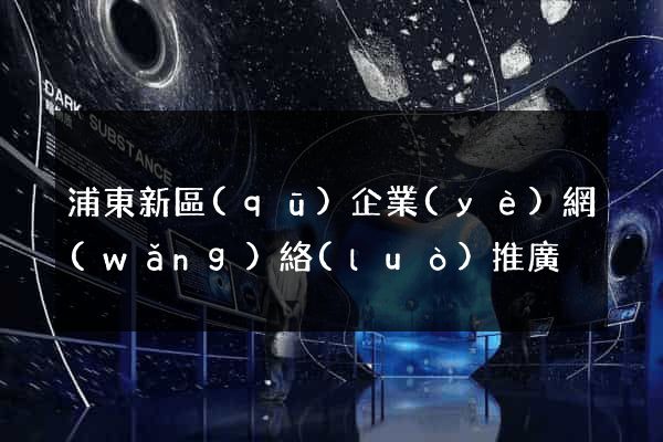浦東新區(qū)企業(yè)網(wǎng)絡(luò)推廣