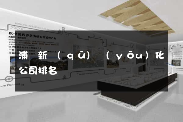 浦東新區(qū)優(yōu)化公司排名