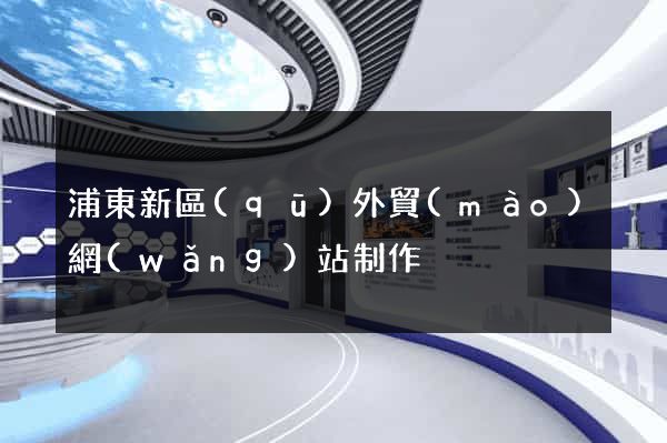 浦東新區(qū)外貿(mào)網(wǎng)站制作