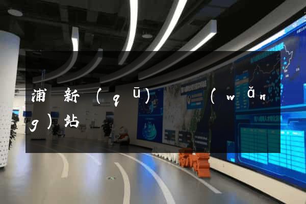 浦東新區(qū)營銷網(wǎng)站設計