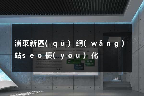 浦東新區(qū)網(wǎng)站seo優(yōu)化