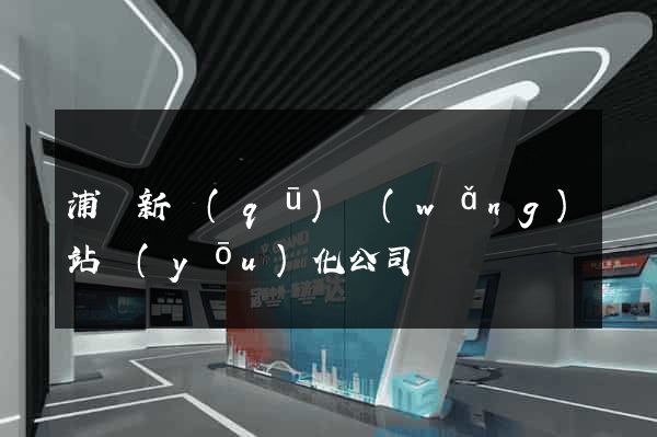 浦東新區(qū)網(wǎng)站優(yōu)化公司