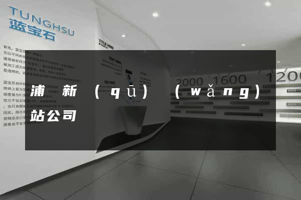 浦東新區(qū)網(wǎng)站公司