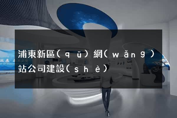 浦東新區(qū)網(wǎng)站公司建設(shè)