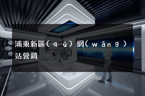 浦東新區(qū)網(wǎng)站營銷