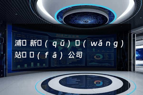 浦東新區(qū)網(wǎng)站開發(fā)公司