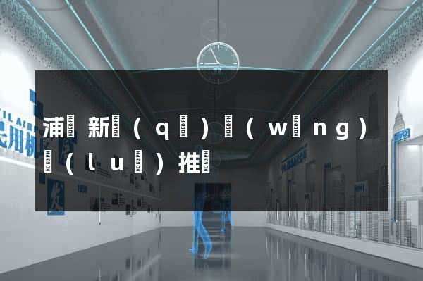 浦東新區(qū)網(wǎng)絡(luò)推廣