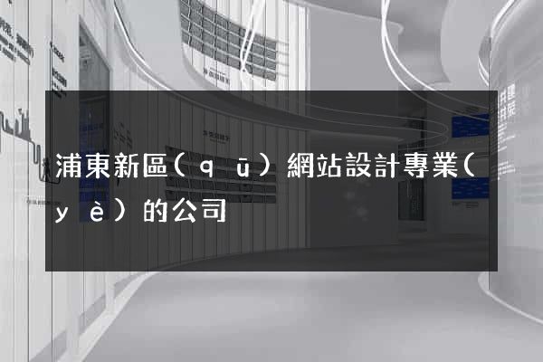 浦東新區(qū)網站設計專業(yè)的公司