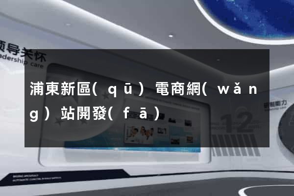 浦東新區(qū)電商網(wǎng)站開發(fā)