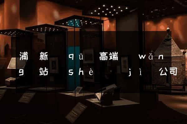 浦東新區(qū)高端網(wǎng)站設(shè)計(jì)公司