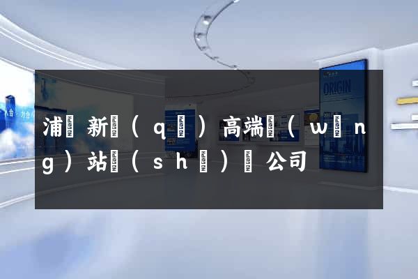浦東新區(qū)高端網(wǎng)站設(shè)計公司