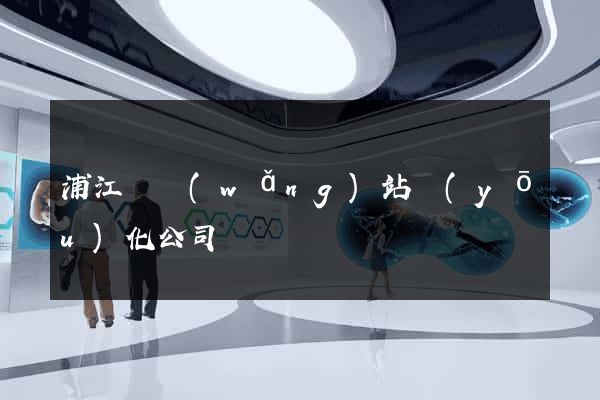浦江縣網(wǎng)站優(yōu)化公司