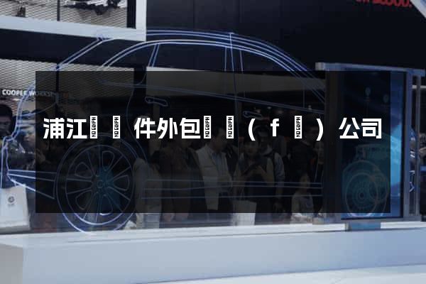 浦江縣軟件外包開發(fā)公司