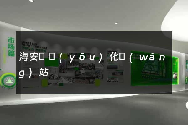 海安縣優(yōu)化網(wǎng)站
