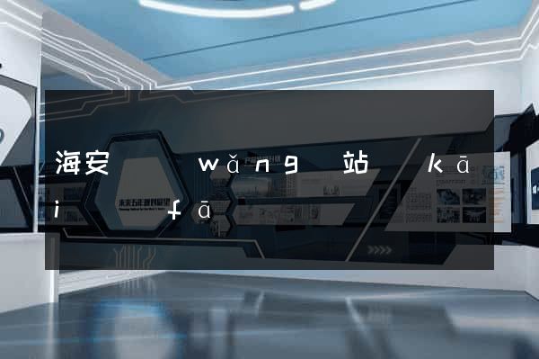 海安縣網(wǎng)站開(kāi)發(fā)