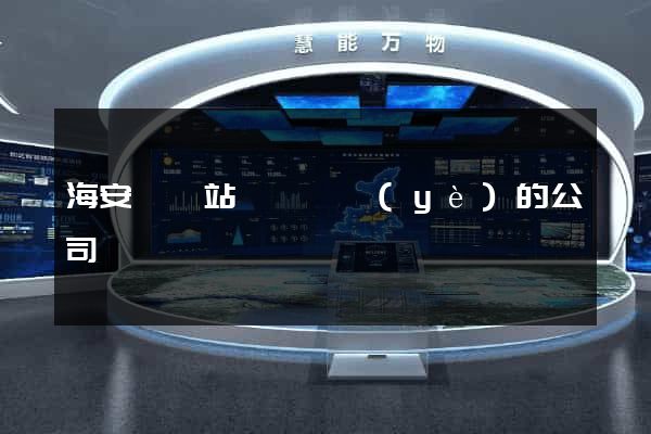 海安縣網站設計專業(yè)的公司