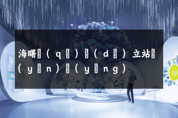 海曙區(qū)獨(dú)立站運(yùn)營(yíng)