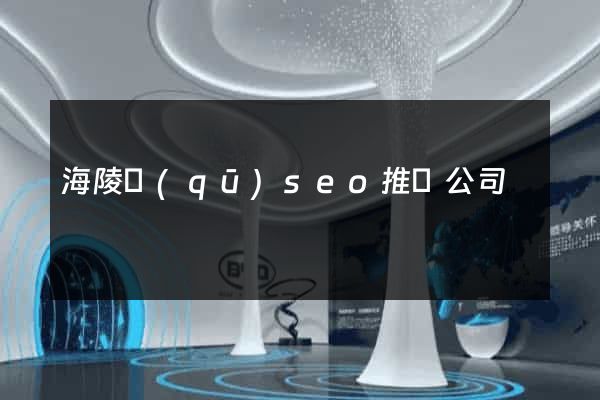 海陵區(qū)seo推廣公司