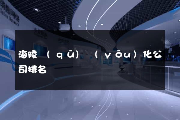 海陵區(qū)優(yōu)化公司排名