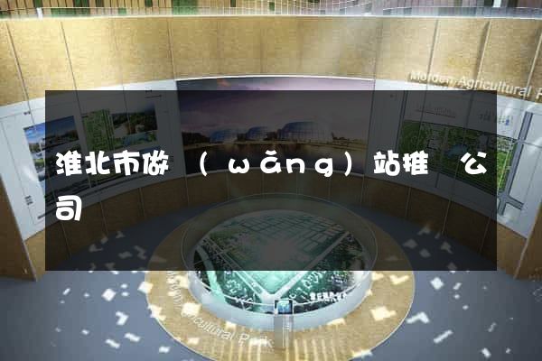淮北市做網(wǎng)站推廣公司
