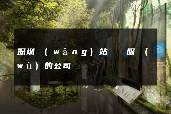 深圳網(wǎng)站維護服務(wù)的公司