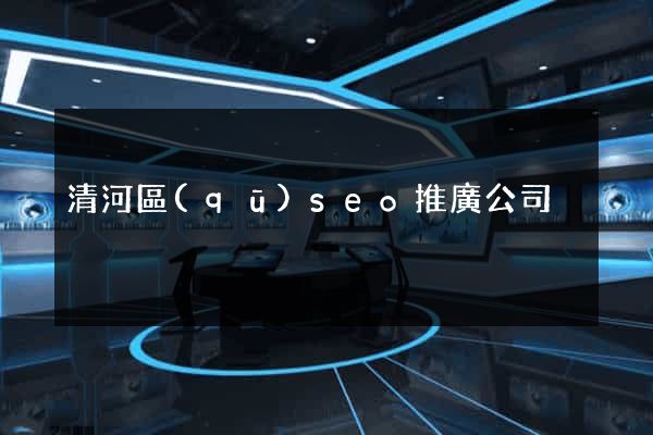 清河區(qū)seo推廣公司