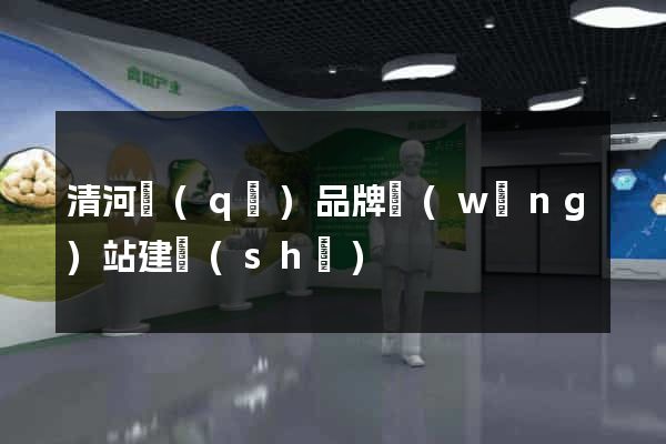 清河區(qū)品牌網(wǎng)站建設(shè)