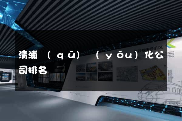 清浦區(qū)優(yōu)化公司排名